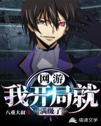 网游：我开局就满级了